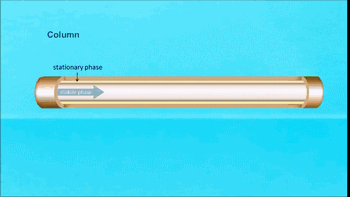 1593423858921524.gif 微信圖片_20200629174403.gif